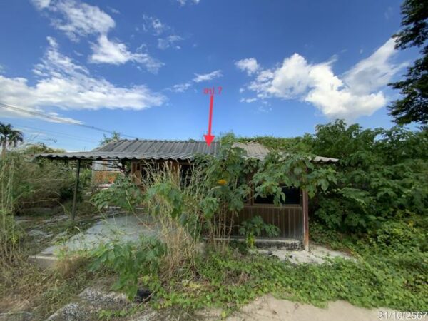 02 Single House _photo