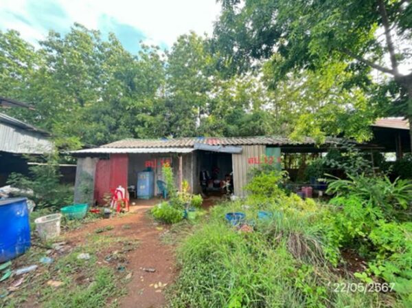 02 Single House _photo