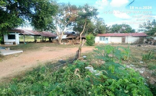 02 Single House _photo
