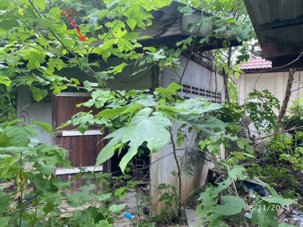 02 Single House _photo