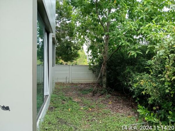 02 Single House _photo