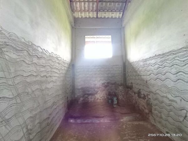 02 Single House _photo