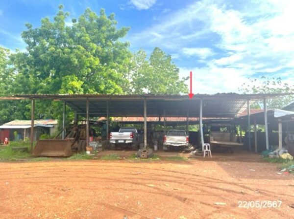 02 Single House _photo