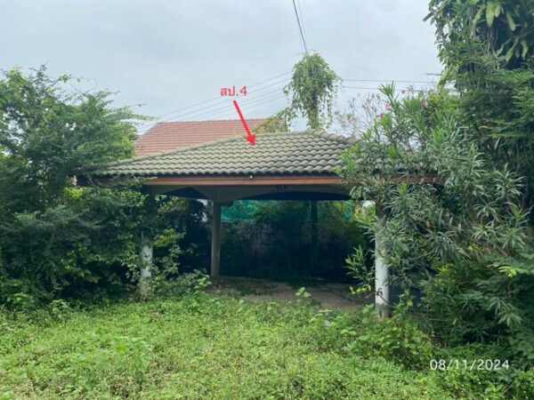 02 Single House _photo