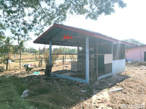 02 Single House _photo