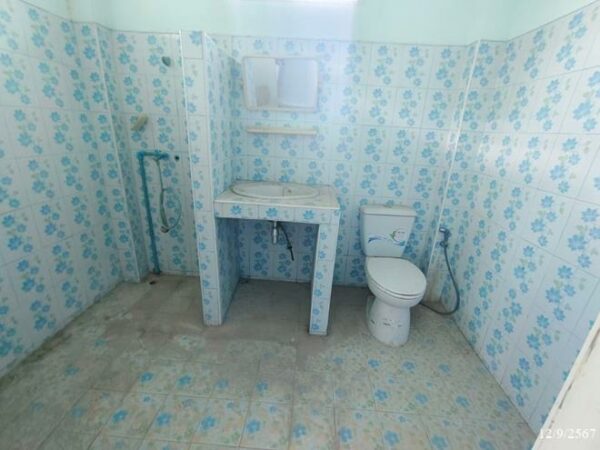 02 Single House _photo