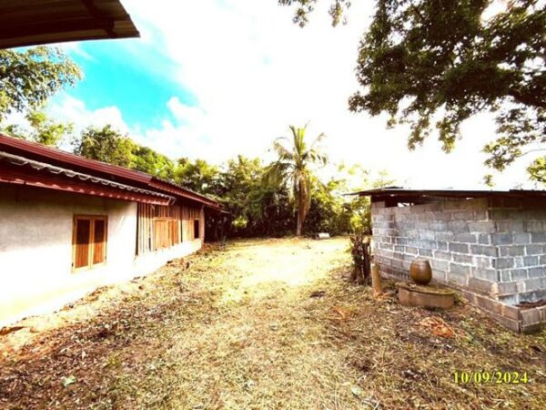 02 Single House _photo
