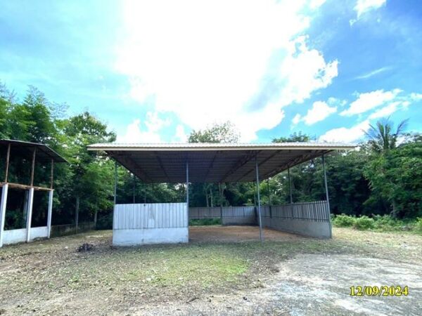 02 Single House _photo