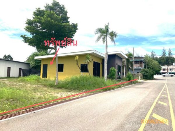 02 Single House _photo