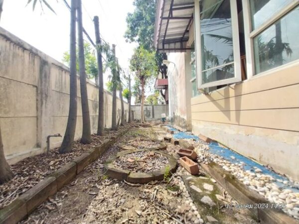 02 Single House _photo