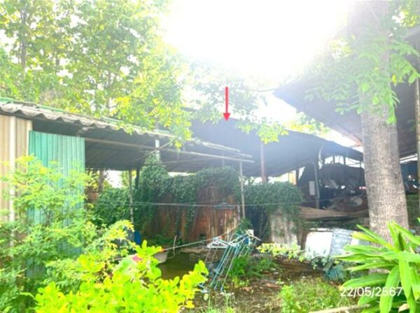 02 Single House _photo
