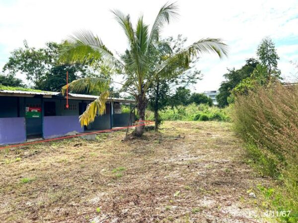 02 Single House _photo