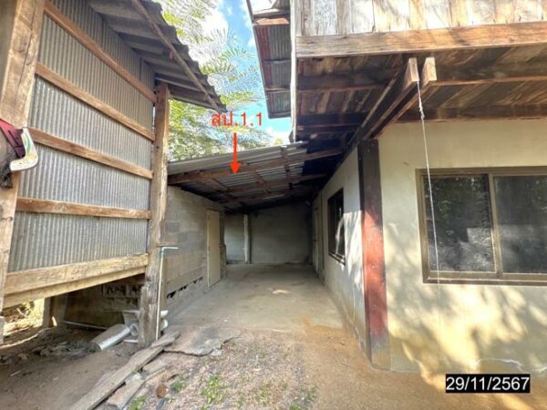 02 Single House _photo