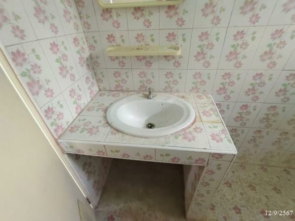 02 Single House _photo