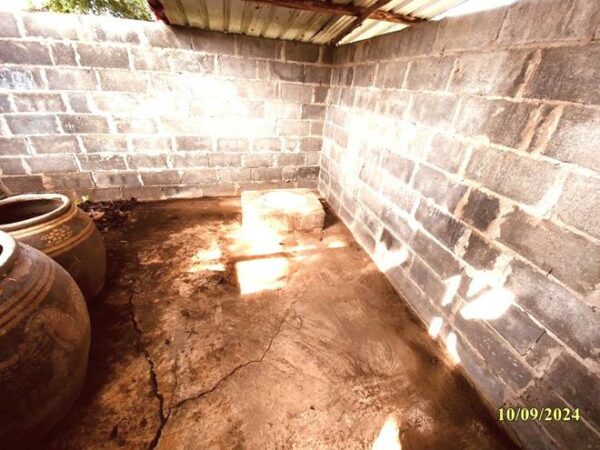 02 Single House _photo