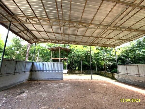 02 Single House _photo