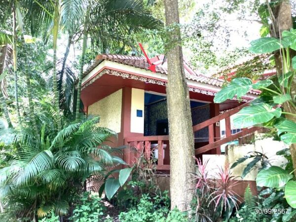 02 Single House _photo