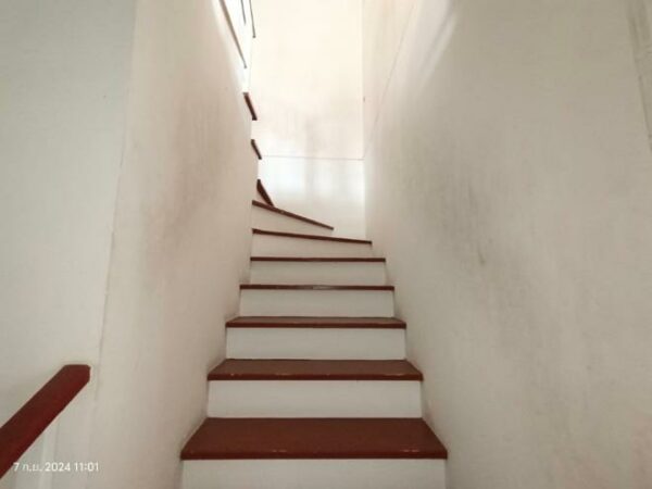 02 Single House _photo