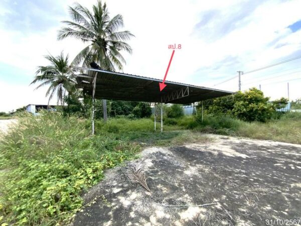 02 Single House _photo