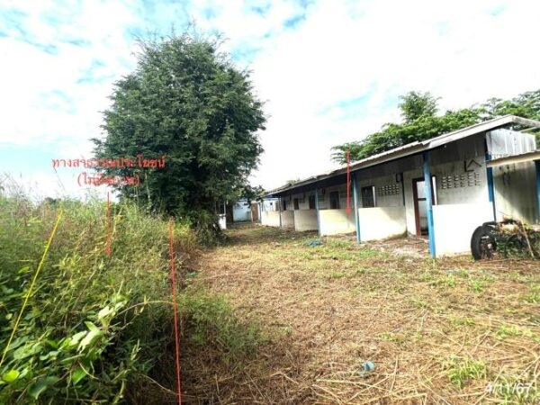 02 Single House _photo