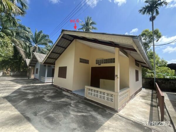 02 Single House _photo