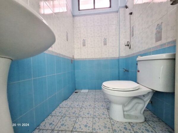 02 Single House _photo