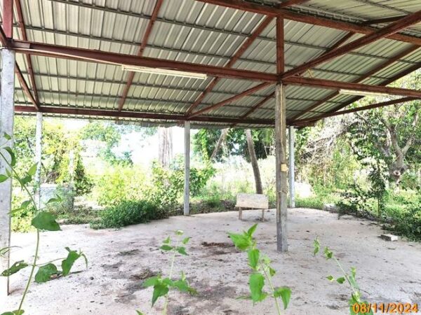 02 Single House _photo
