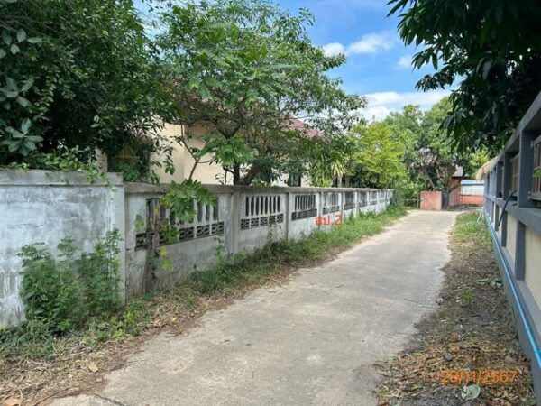 02 Single House _photo