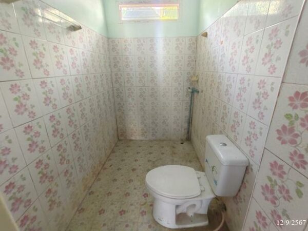 02 Single House _photo
