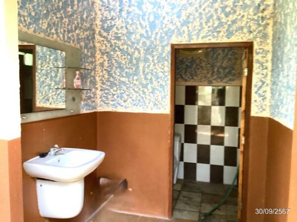 02 Single House _photo