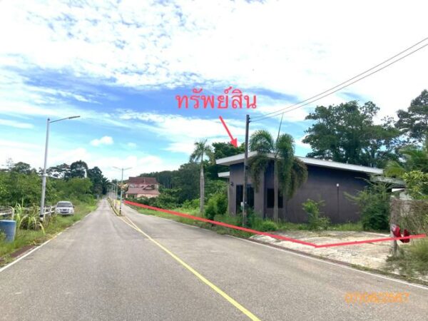 02 Single House _photo