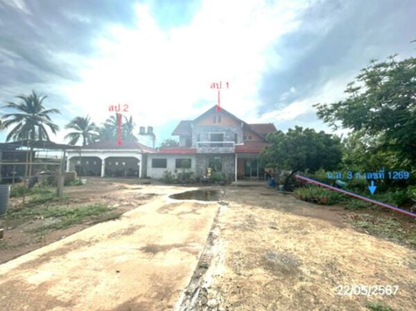 02 Single House _photo