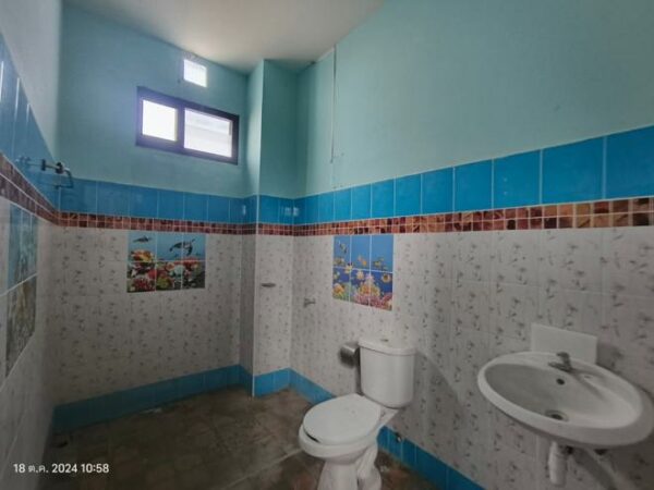 02 Single House _photo