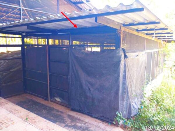 02 Single House _photo