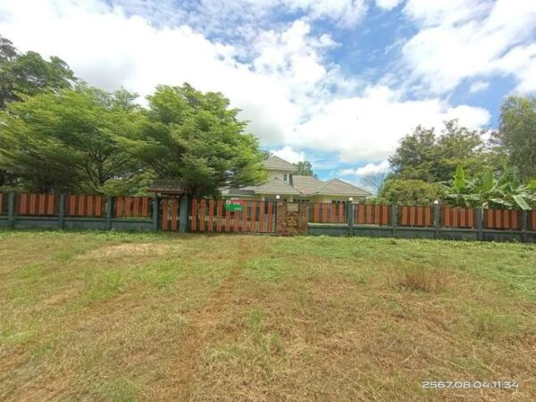 02 Single House _photo