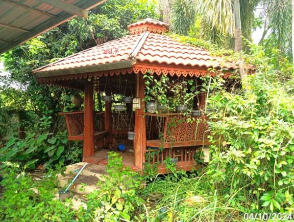 02 Single House _photo