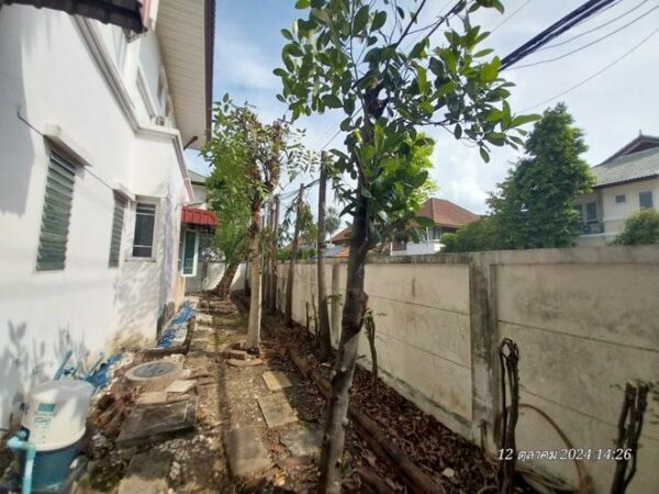 02 Single House _photo