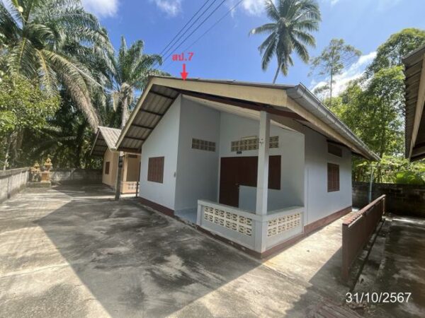 02 Single House _photo