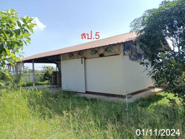 02 Single House _photo