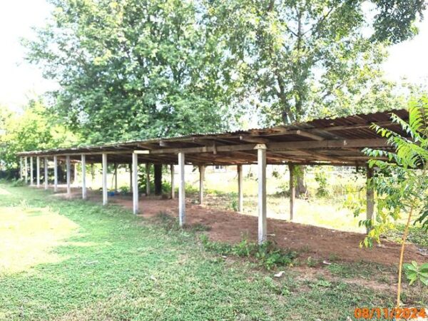 02 Single House _photo