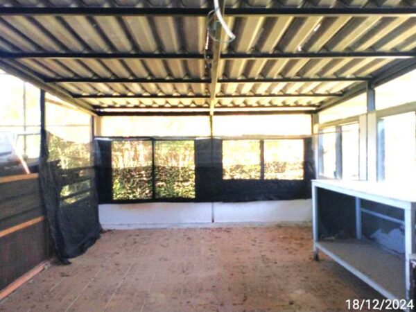 02 Single House _photo