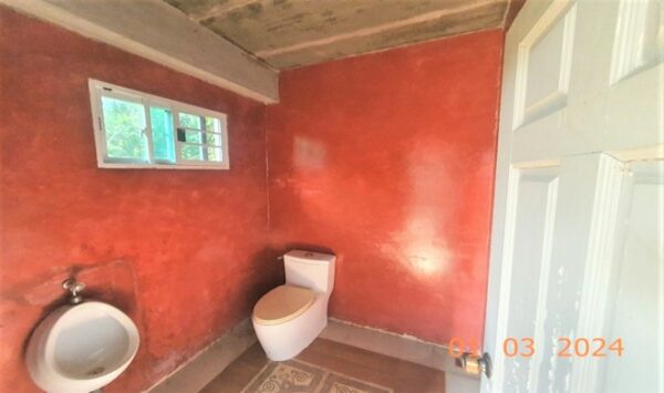 02 Single House _photo