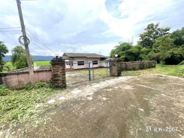 02 Single House _photo