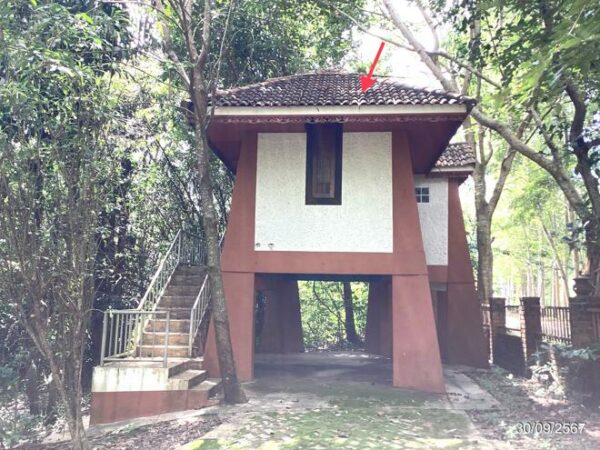 02 Single House _photo