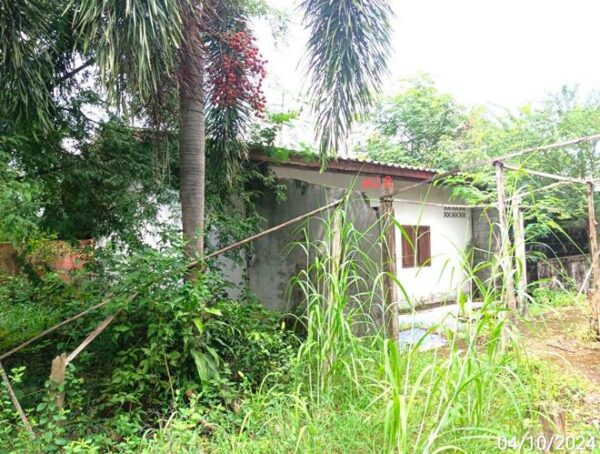 02 Single House _photo
