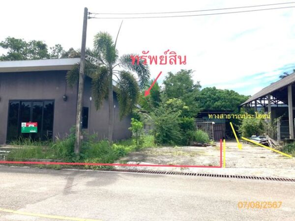 02 Single House _photo