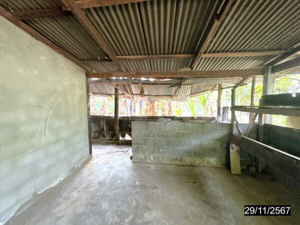 02 Single House _photo