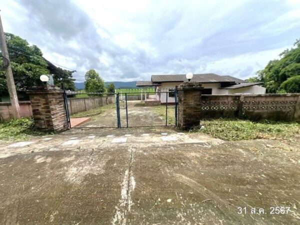02 Single House _photo
