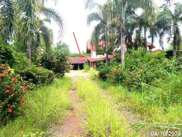 02 Single House _photo