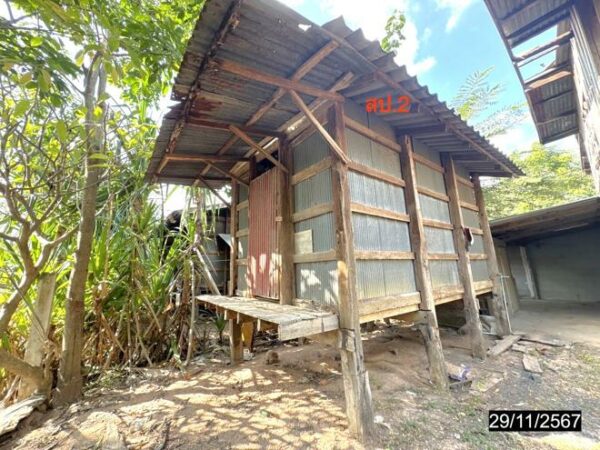 02 Single House _photo